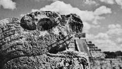 Monochrome mayan grayscale