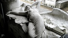 Monochrome memorial Fallen Angel