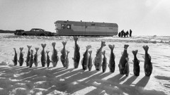 Monochrome national geographic