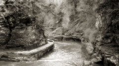 monochrome nature water river landscape sepia Trees