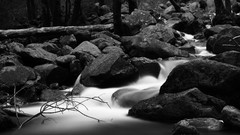 Monochrome rivers forests grayscale