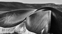 Monochrome Sebastião Salgado Sea