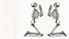 Monochrome skeletons diagram anatomy