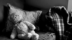 Monochrome teddy bears