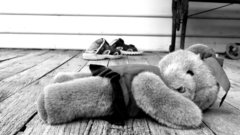 Monochrome Teddy Bears Animals