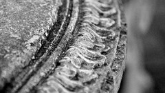 Monochrome tilt-shift greyscale