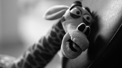 Monochrome toys (children)