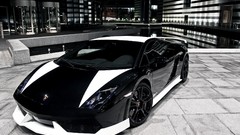 Monochrome vehicles lamborghini gallardo