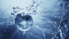 Monochrome water drops macro