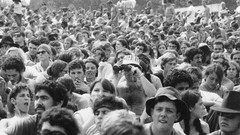 Monochrome woodstock