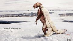 Monster high Animals polar