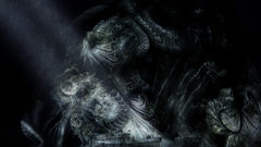 Monster Monsters squid digital Kraken cthulu edhow