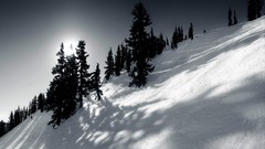 Montana nieve arboles