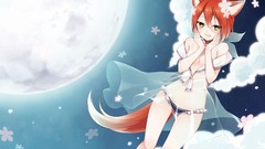 Moon anime girls bra animal ears tails panties fox girls