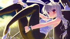 Moon Anime skirts long hair short hair braids pantyhose animal 