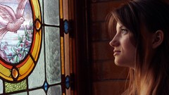 Moon Birds evening stained glass scary models window panes