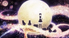 Moon cats stockings short hair