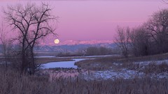 Moon Colorado swamps