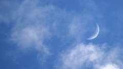 Moon crescent macintosh apple inc