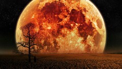 moon fantasy art digital art landscape Trees night Space field