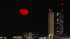 Moon lights cityscapes