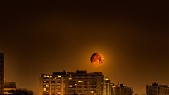 Moon orange Canada Toronto cityscapes