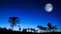 Moon silhouettes