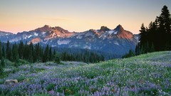 Moon Washington Range mount national park