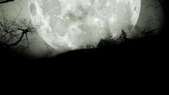 Moon white nature dark