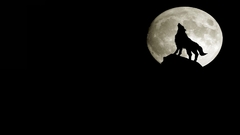 Moon Wolves