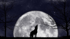 Moon Wolves