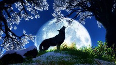 Moon Wolves