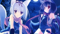 Moon woman anime girls nekomimi night sky ninjas lolicon 