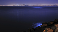 Moonlit san Francisco bay