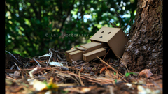 More danbo halp badahdump