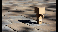 More danbo keep halp bumpin