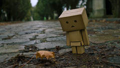 More danbo need pitctures
