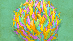 More high Resolution bdbc