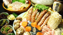 More like This please