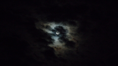 More Sam make ) With darker This intense