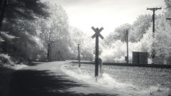 Morganroad wtmk high