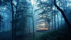 Morning buildings forests