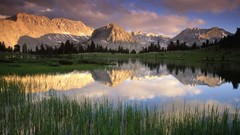 Morning California pioneer