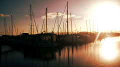 Morning Harbour sunset Boats