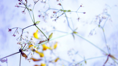 Morning light by nevvill