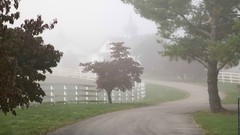 Morning Manchester farms