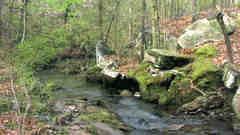 Moss covered rock spring