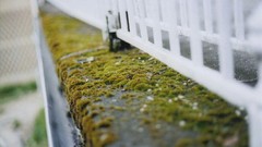 Moss dc depth of field