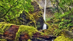 Moss Oregon waterfalls columbia