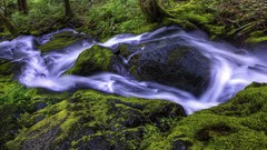 Moss rivers